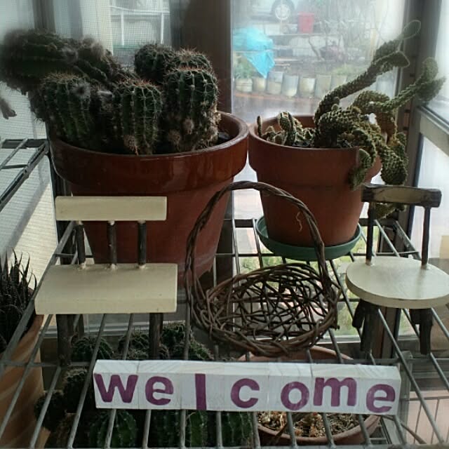 colognecologneさんの実例写真