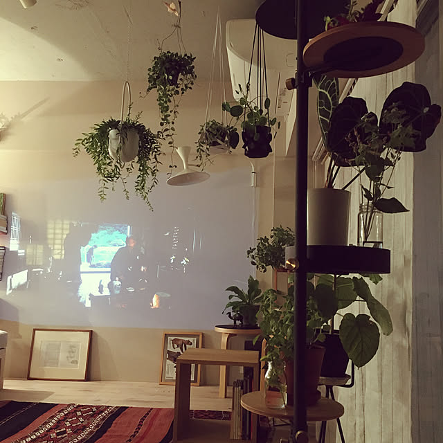 greenforestさんの実例写真