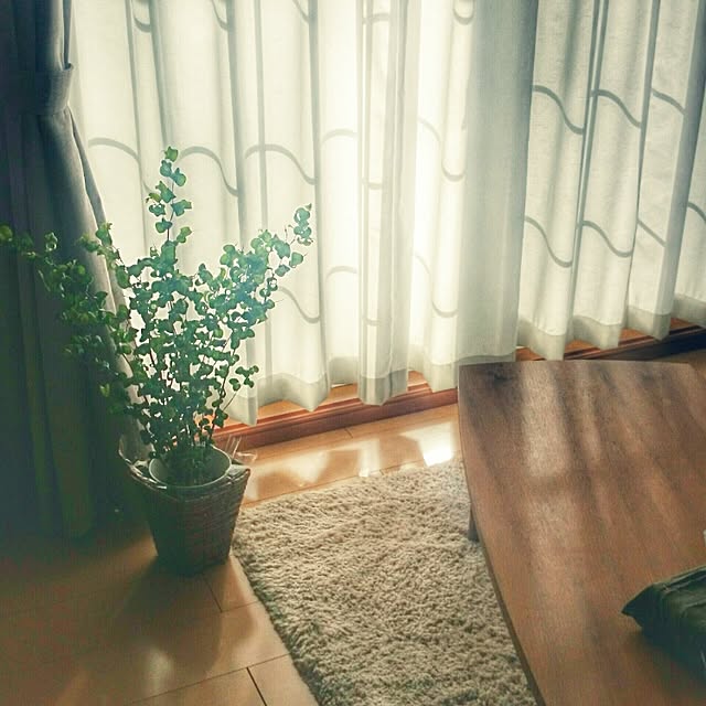 chicoさんの実例写真