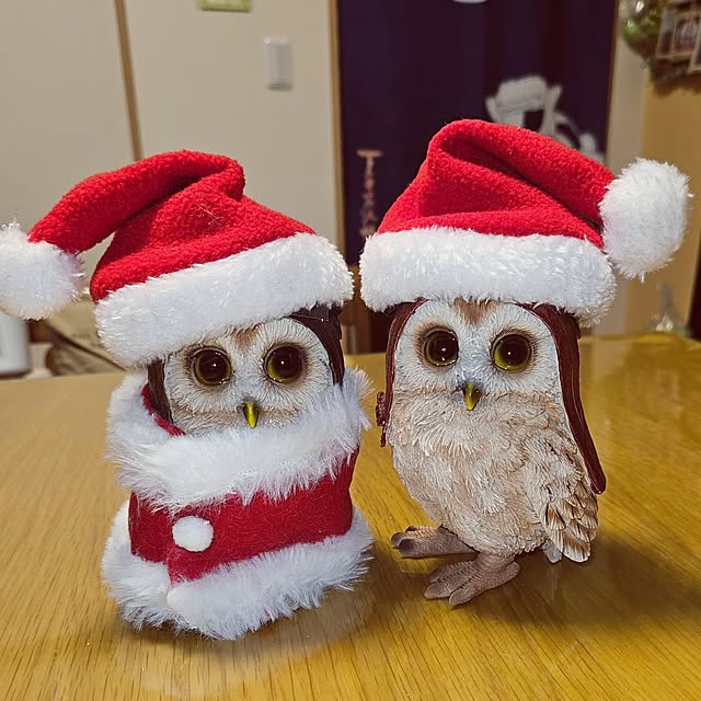 mocomocoさんの実例写真