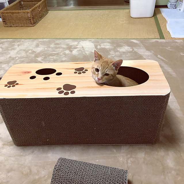 himetanさんの実例写真