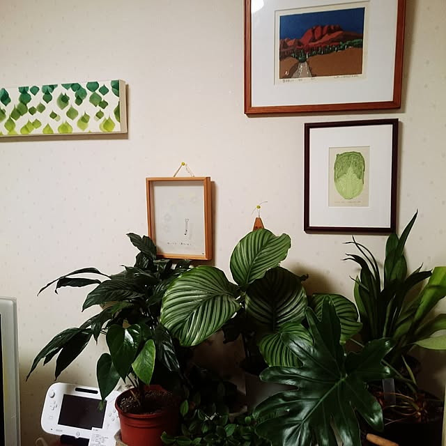 terumi-ffyさんの実例写真