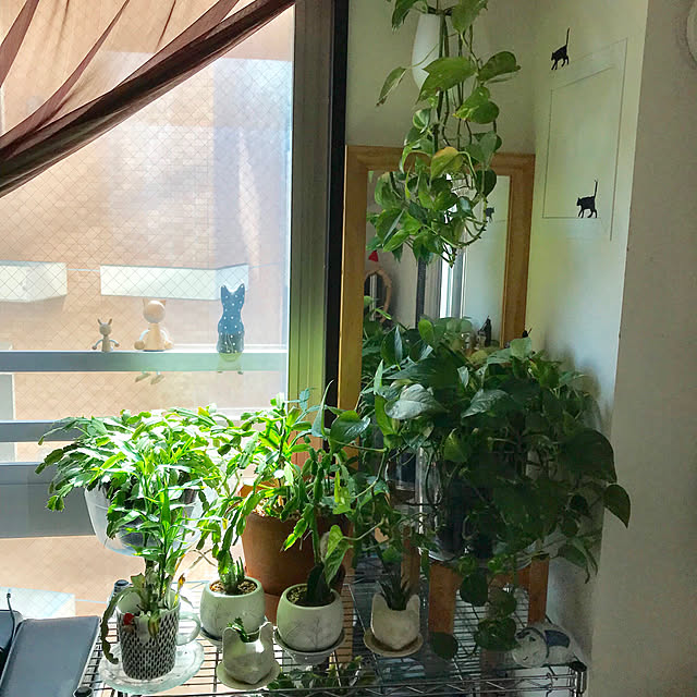 棚/観葉植物/雑貨/IKEAのインテリア実例 - 2018-03-06 12:00:17
