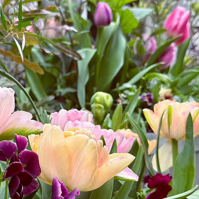 DAYONEさんの部屋