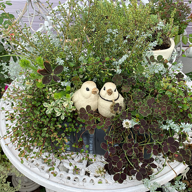 AYUKOさんの実例写真