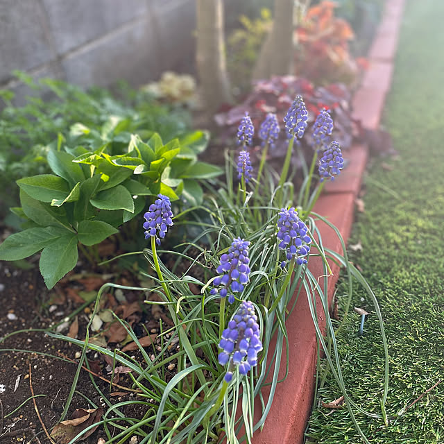 Junran50さんの部屋