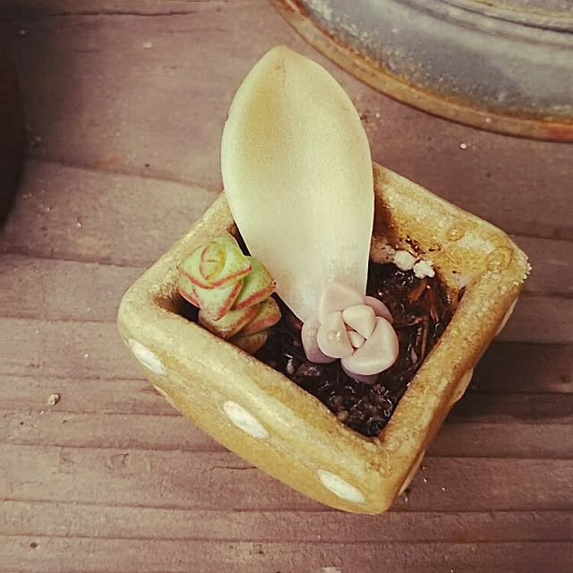 beeさんの実例写真