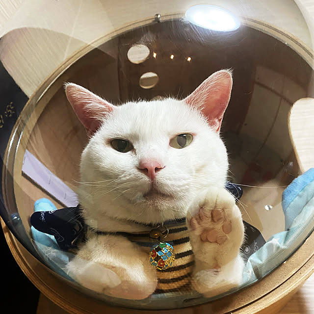 hanaさんの実例写真