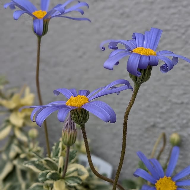 kumijiさんの部屋