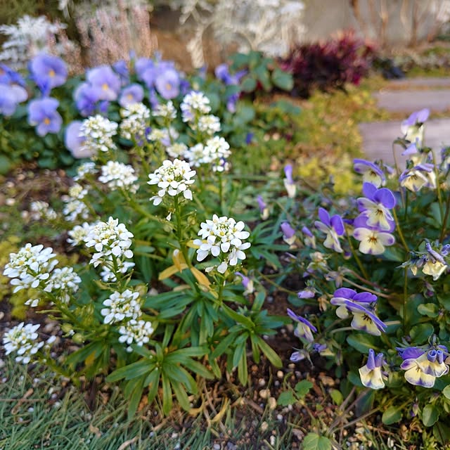 coconathuさんの実例写真