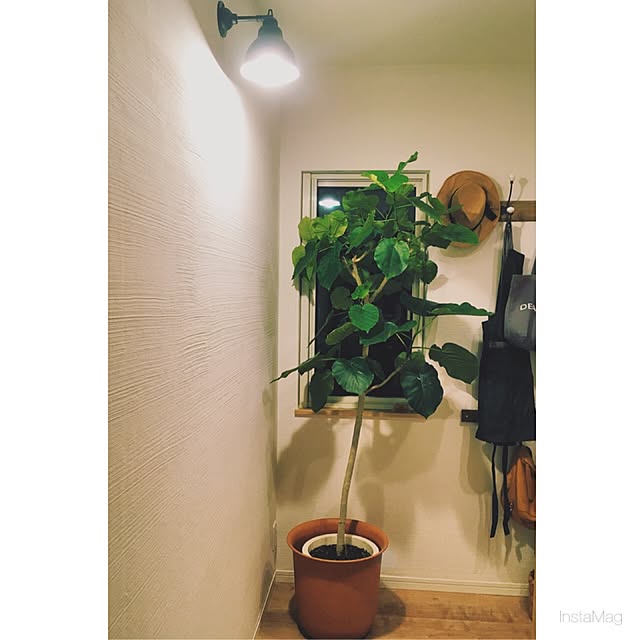 sumikaさんの実例写真