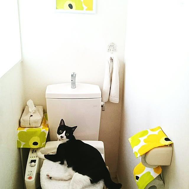 hiyo.pietさんの実例写真