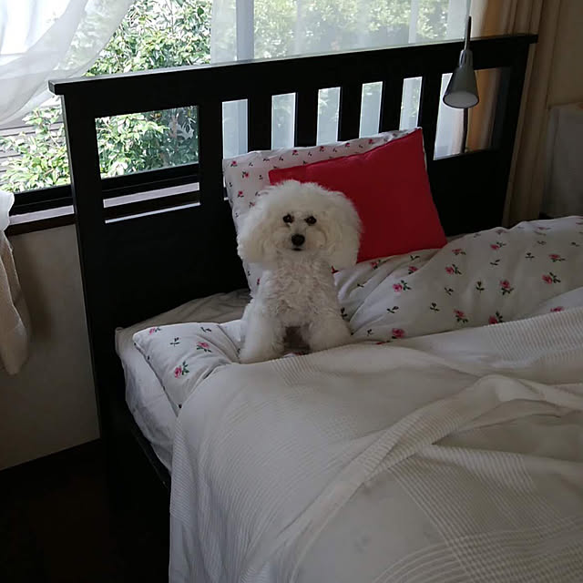 justyさんの実例写真