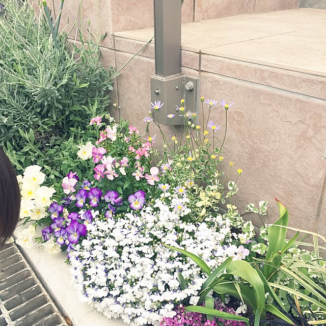 mamemamさんの実例写真