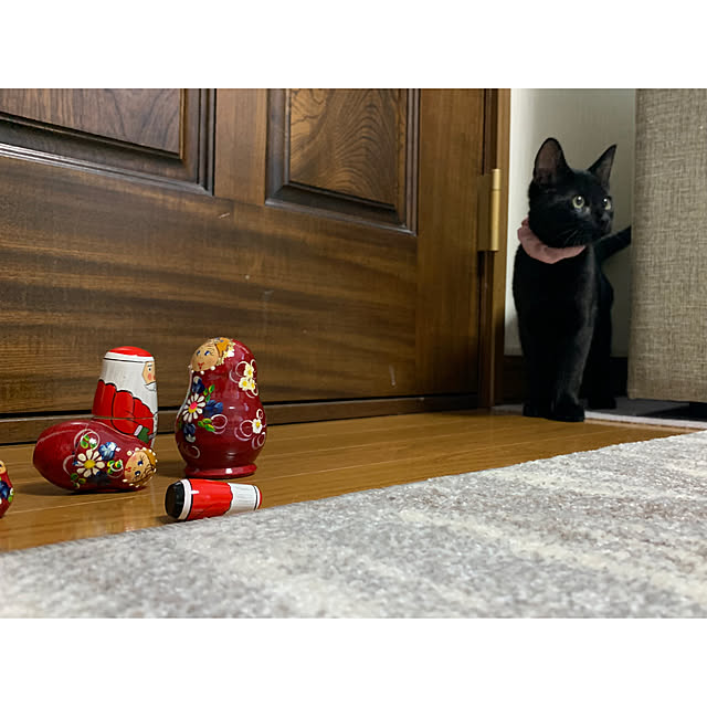 naojinさんの実例写真