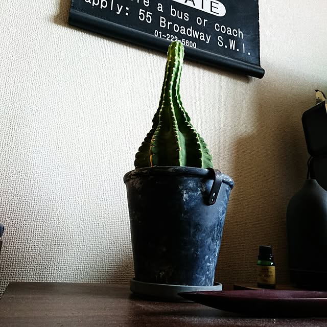 rrikiyさんの実例写真