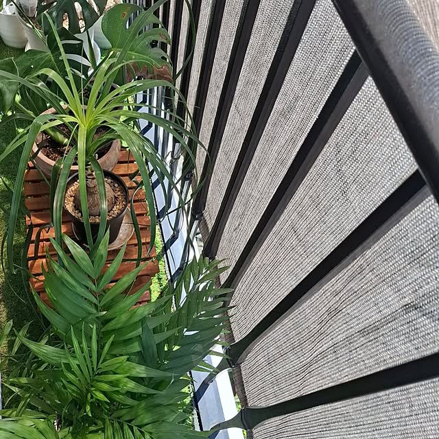 midoriさんの実例写真