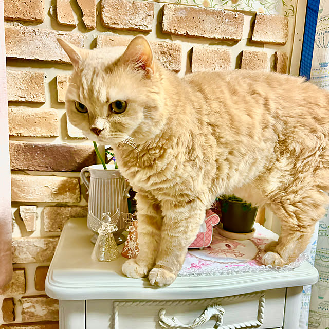 naokoさんの部屋