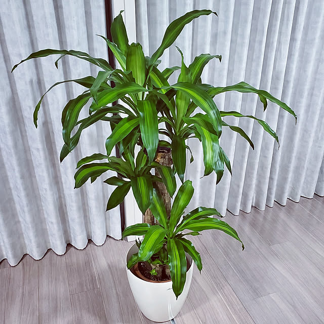 mi-naさんの実例写真