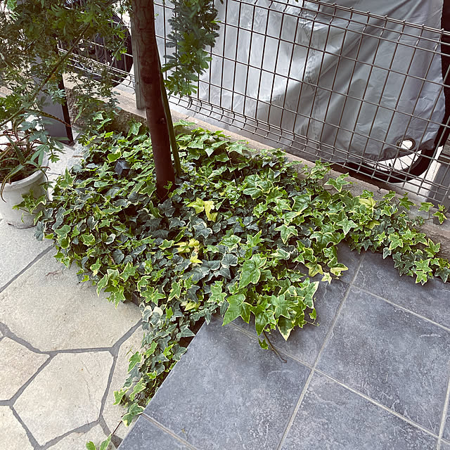 sakupanさんの実例写真
