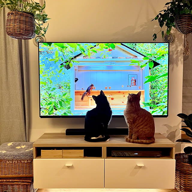 pooさんの実例写真
