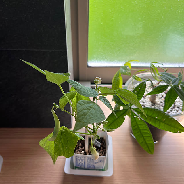 Sakaさんの部屋