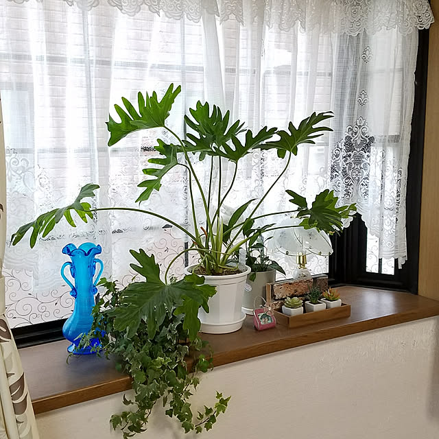 Kinanさんの部屋