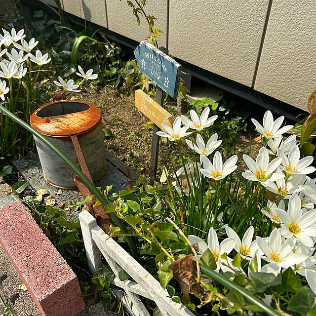 Fumiさんの部屋