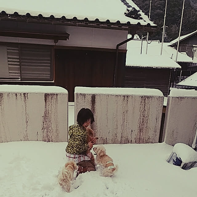 nontenrunさんの実例写真