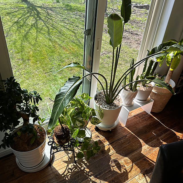 hanahana1444さんの部屋