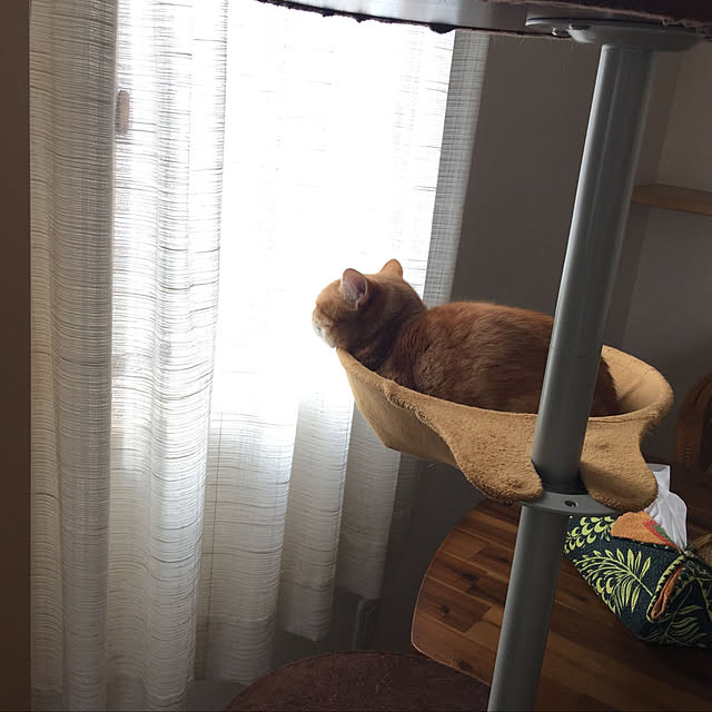 k.mさんの部屋