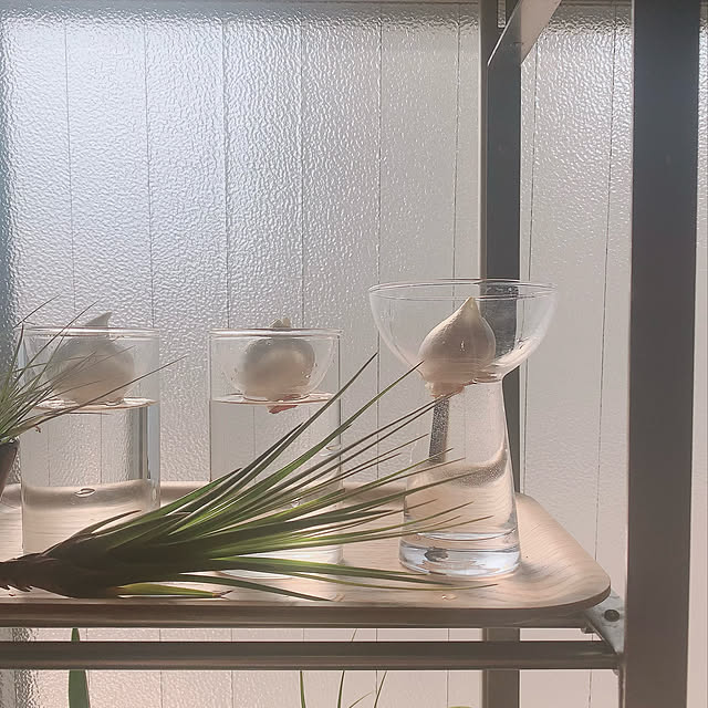 nao.roomさんの実例写真