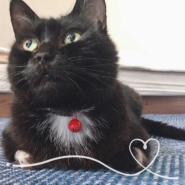 oasisさんの実例写真