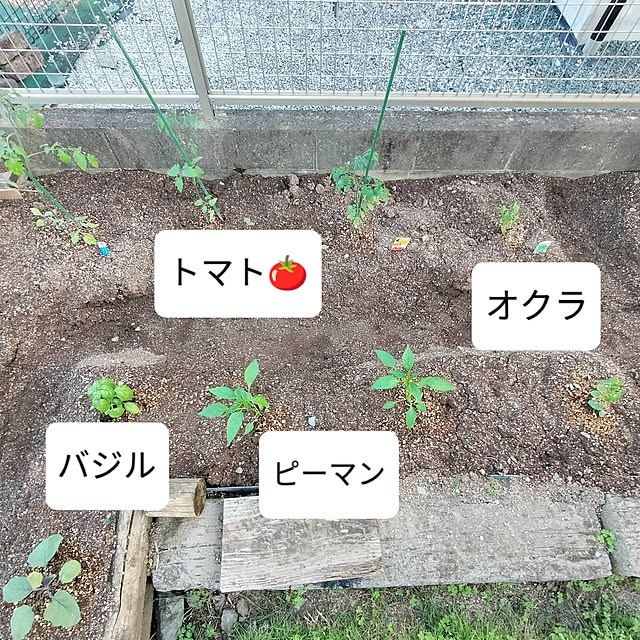 feuileさんの部屋