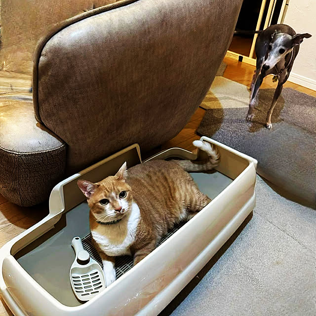MEさんの実例写真