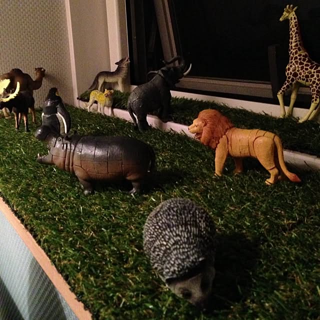 mt_hippoさんの実例写真