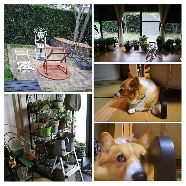 tenntennさんの実例写真