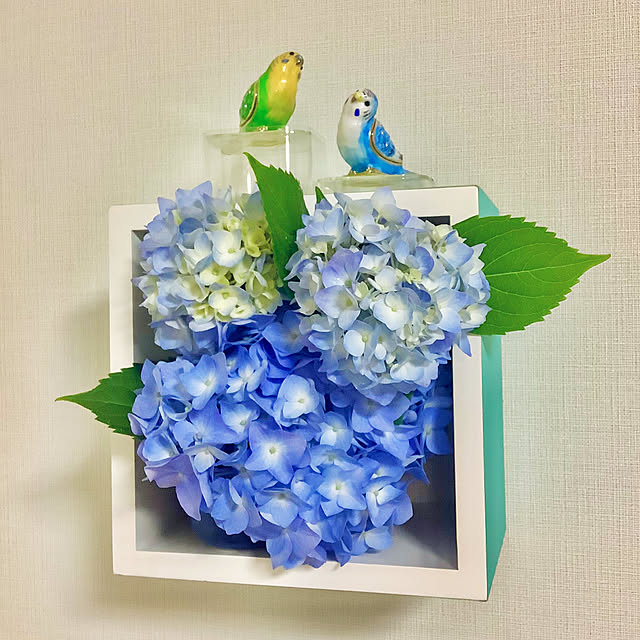 haruminさんの部屋