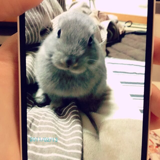 AYUPOさんの実例写真