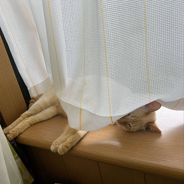 mohhaさんの実例写真