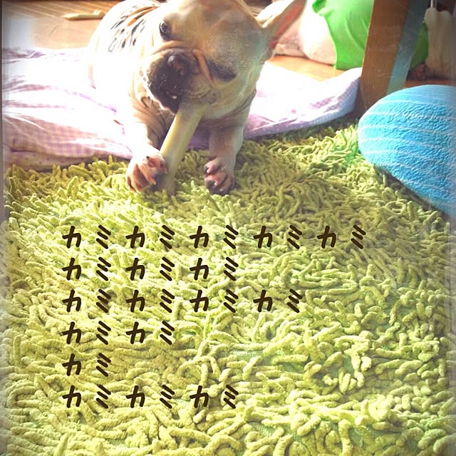 38coreさんの実例写真