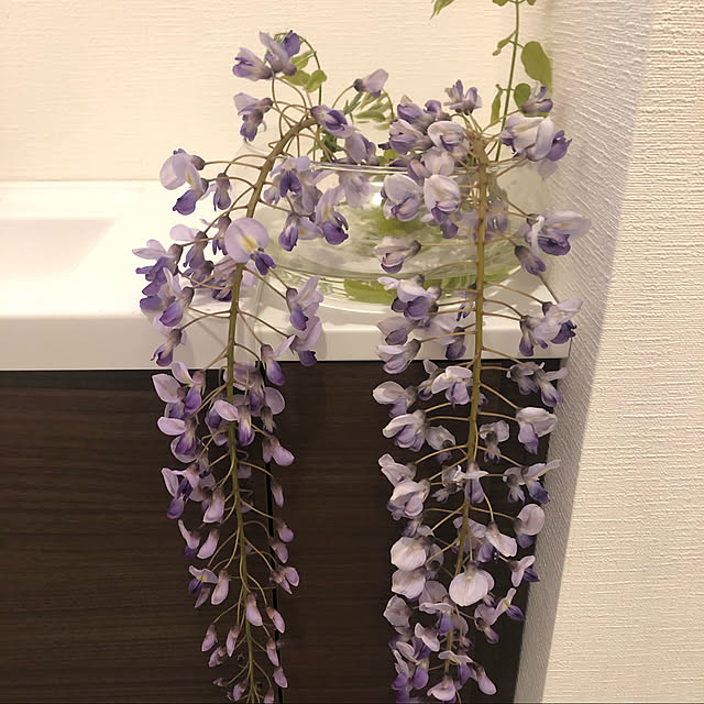 Reinaさんの実例写真