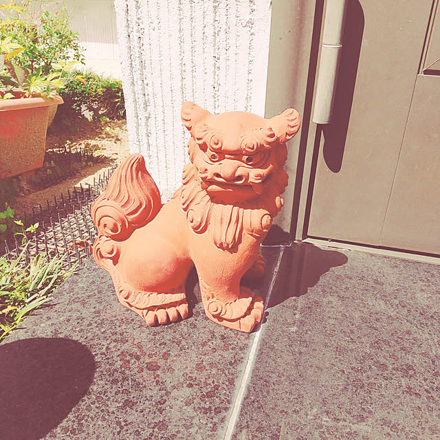 ai-nyanko.さんの実例写真