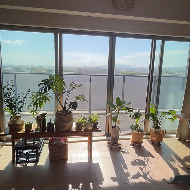 namayuさんの部屋