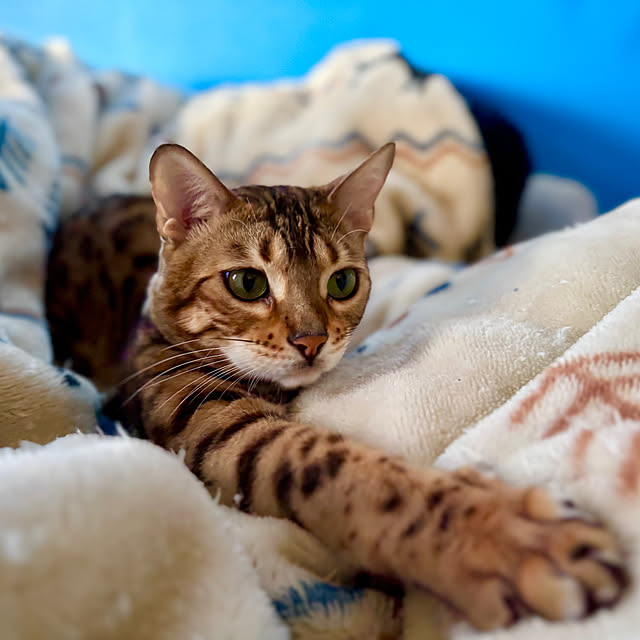 tututu0204さんの部屋