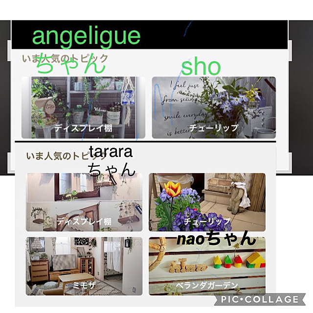 shoさんの実例写真
