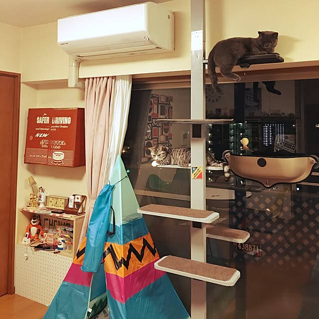 Shojiさんの実例写真