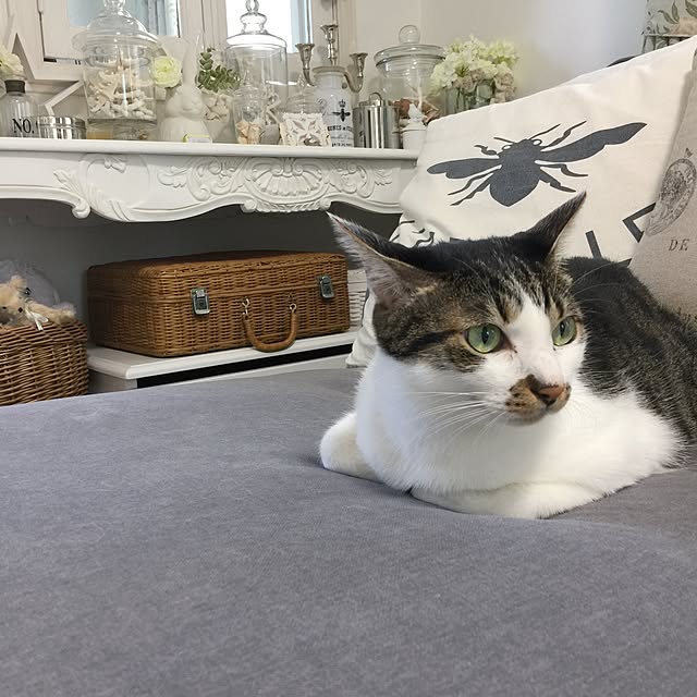 yuchiさんの実例写真