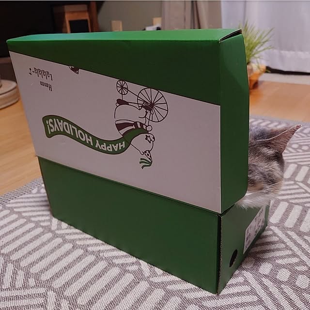 fukuさんの部屋