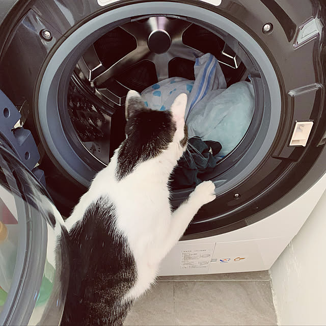pcu110さんの実例写真